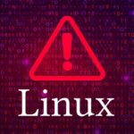 Linux Mint 22 "Wilma": O privire asupra lansării BETA