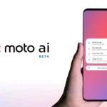 Portofelul Digital al UE: Un Pas Major către Identitatea Digitală Europeană